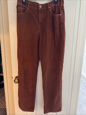 BDG Urban Outfitters Men's Corduroy Pants in Rust Brown